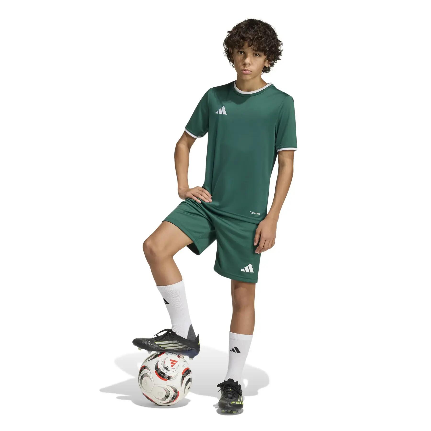 adidas Kinder Short Entrada 26 Shorts Y 2/7
