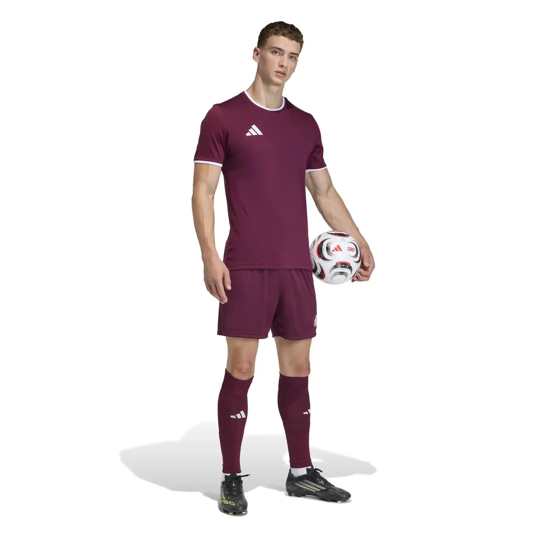 Calções homem adidas treino bordeaux 3/7