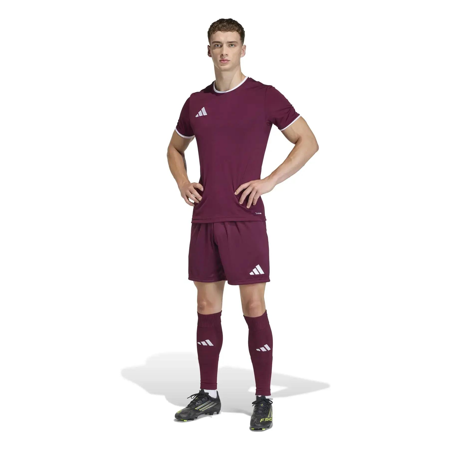 Calções homem adidas treino bordeaux 2/7