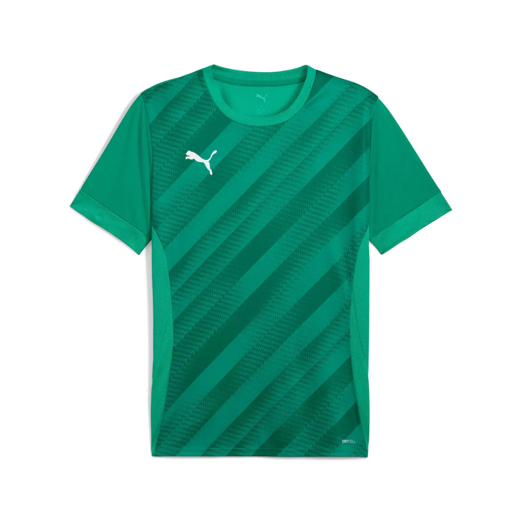 PUMA picture