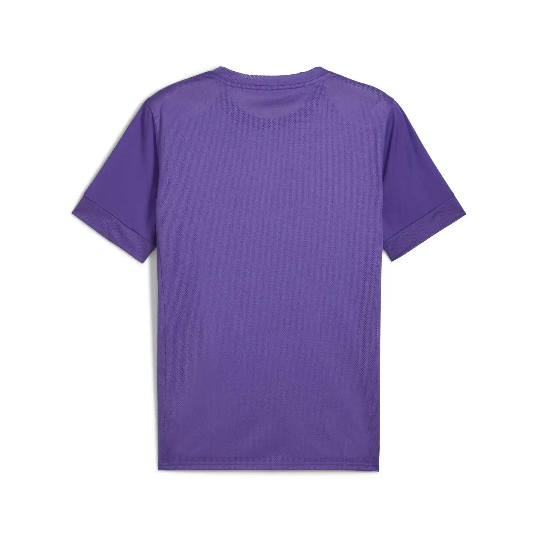 Maillot Puma teamGoal Graphic 2/2