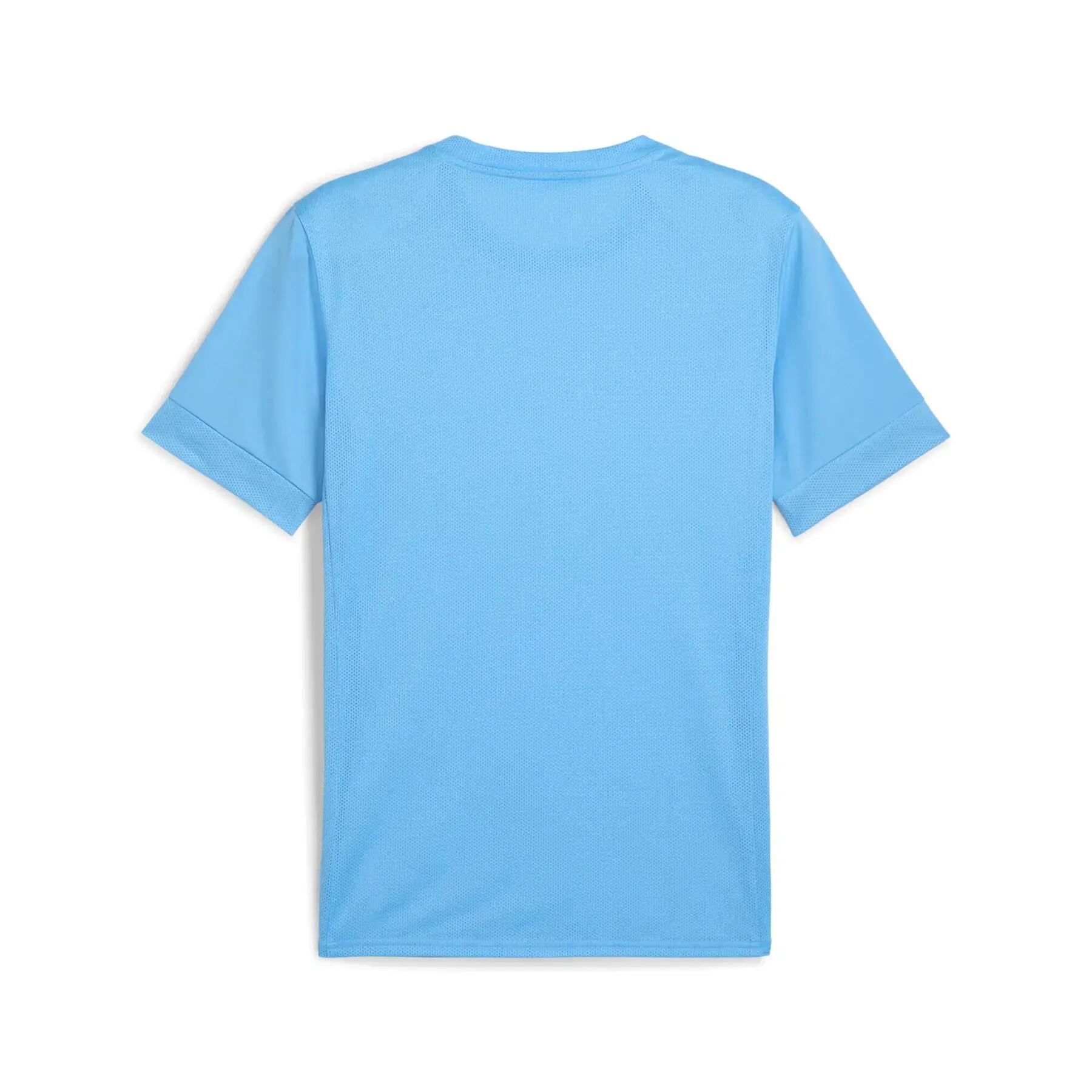 Maillot Puma teamGoal Graphic 2/2
