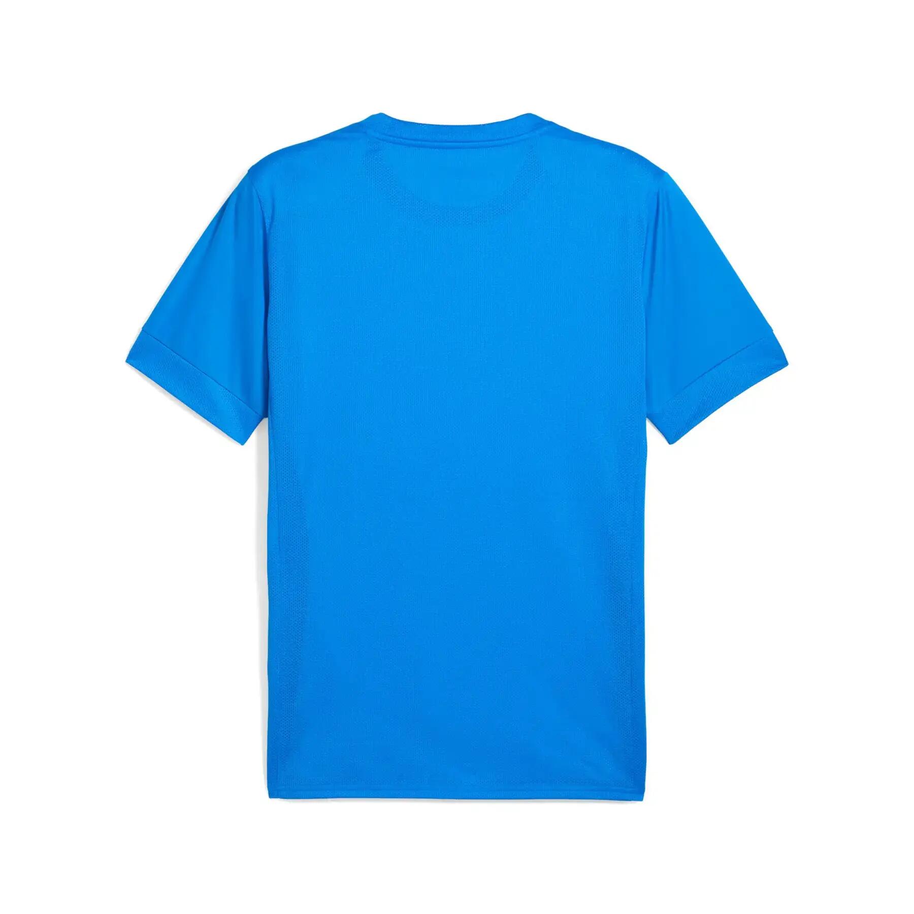 Jersey Puma teamGoal Graphic 2/2