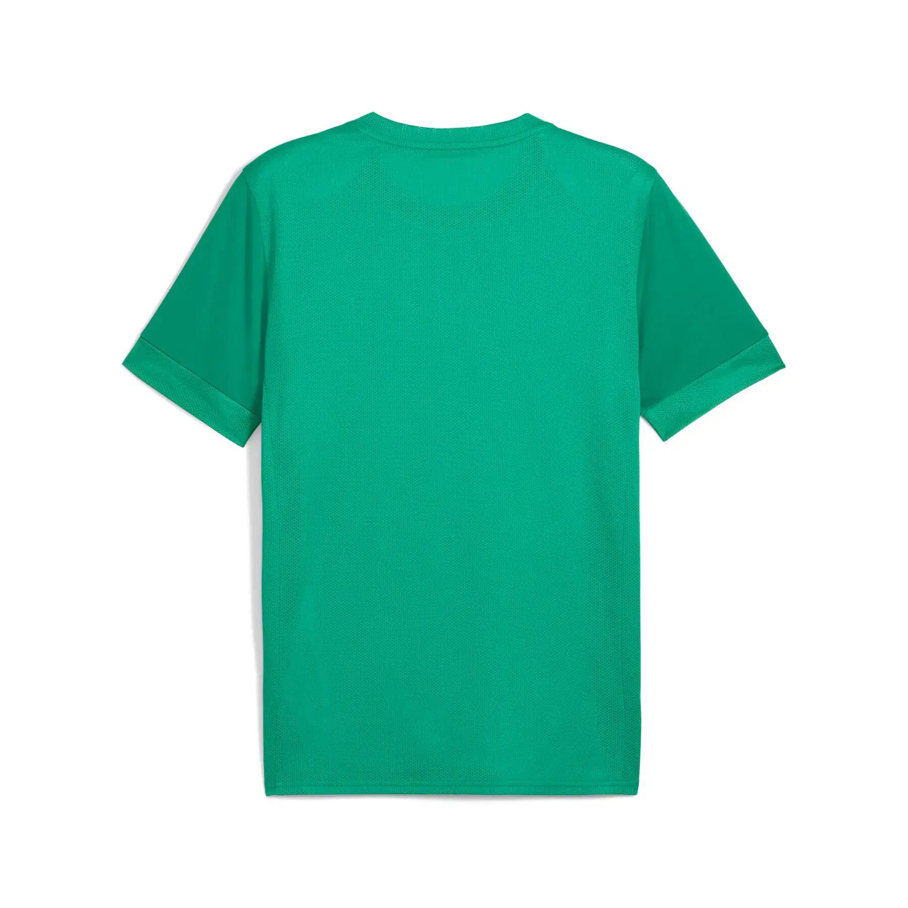 Maillot enfant Puma teamGoal Graphic 2/2