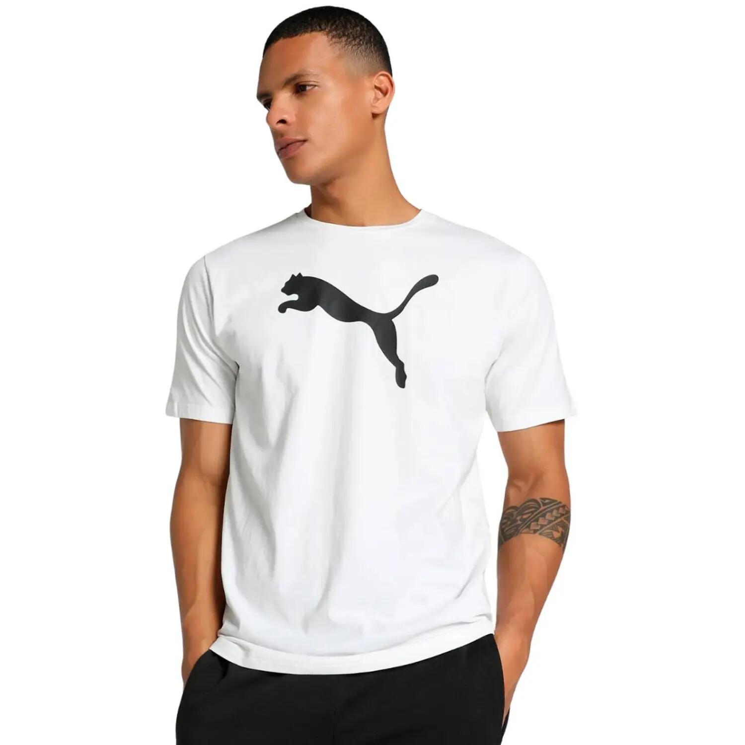 PUMA picture