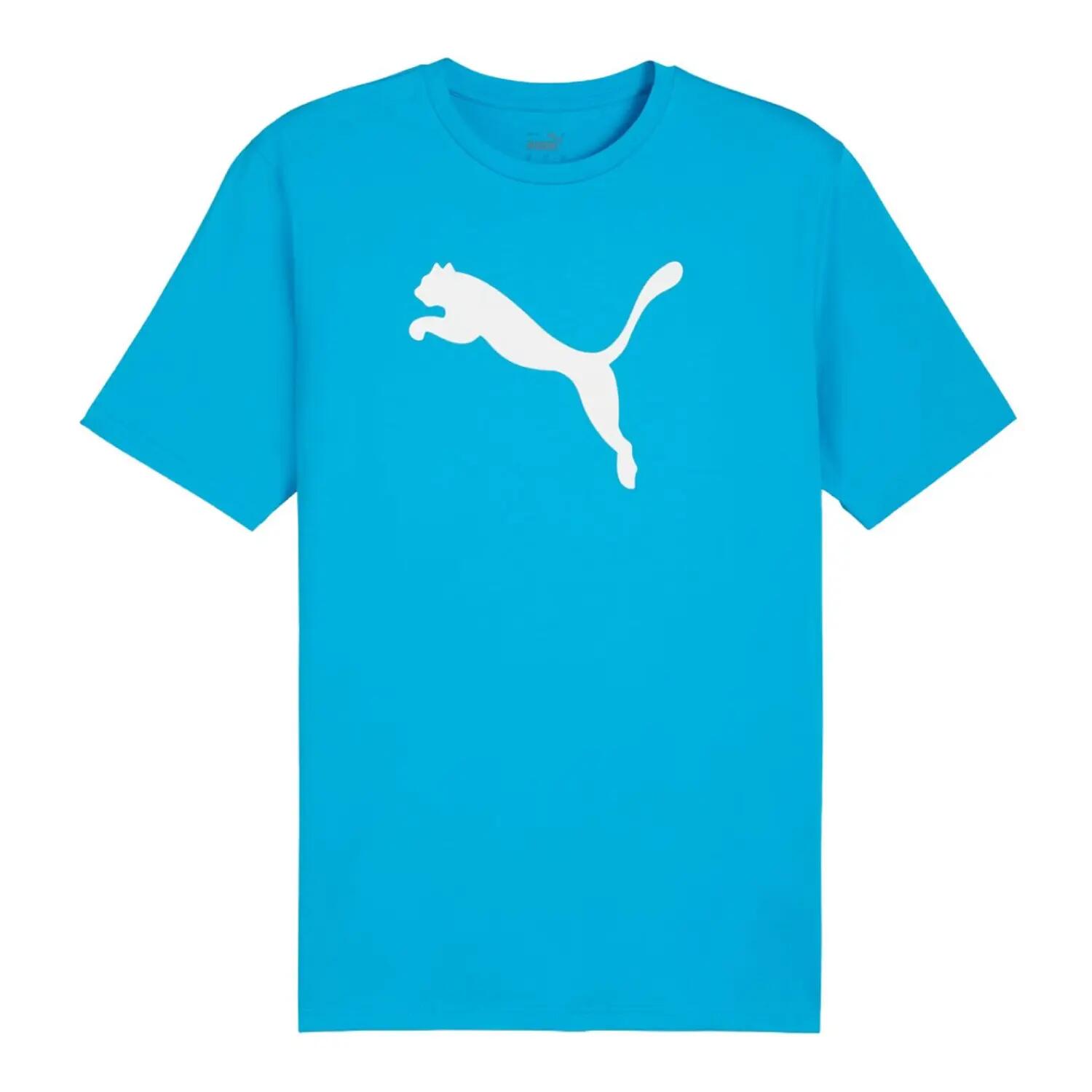 PUMA picture