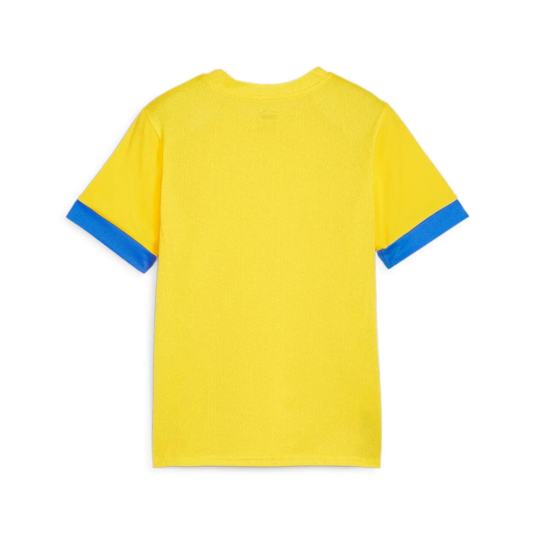 Kids' Training Jersey Puma TeamGoal 2/3