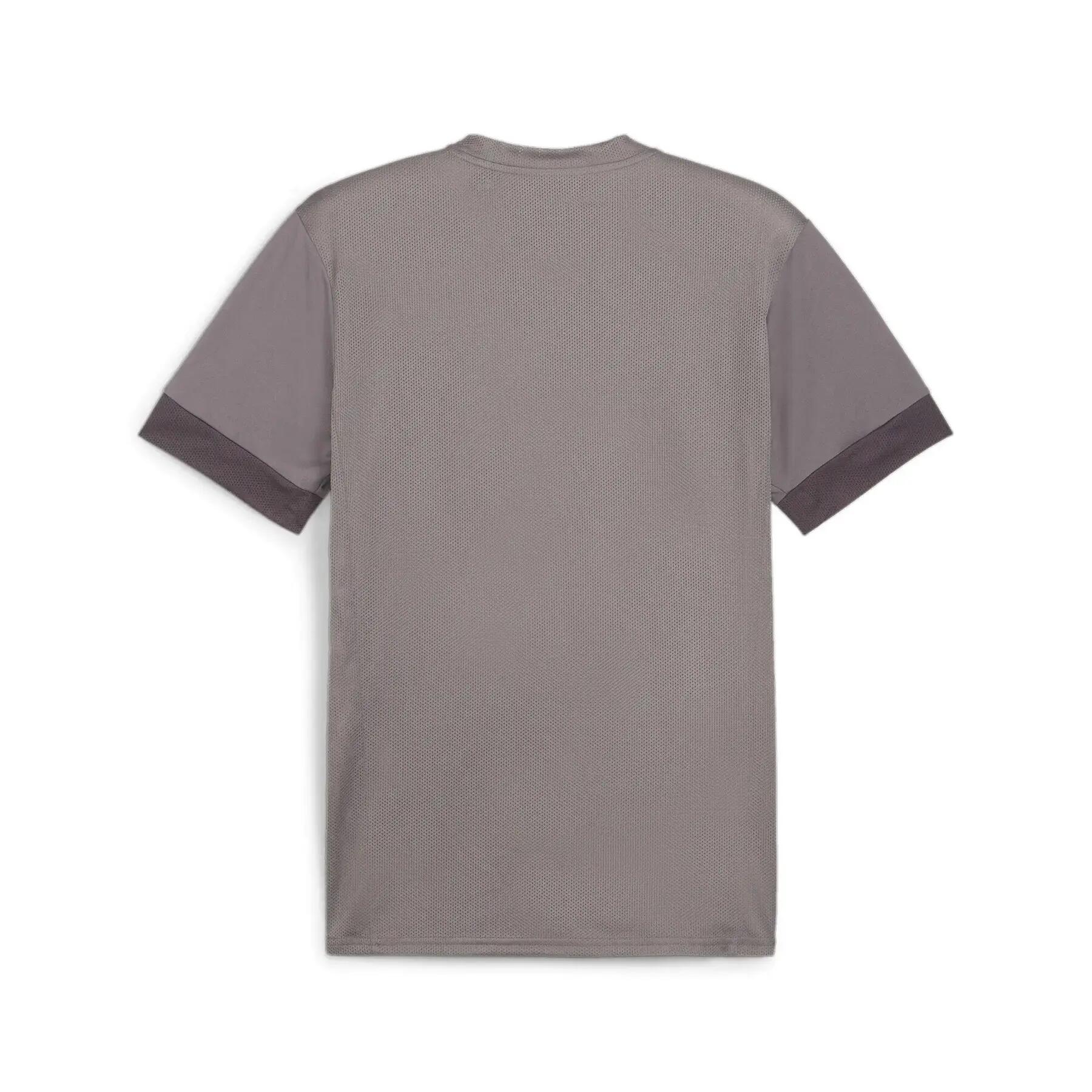 Maillot Puma Teamgoal Matchday 2/3
