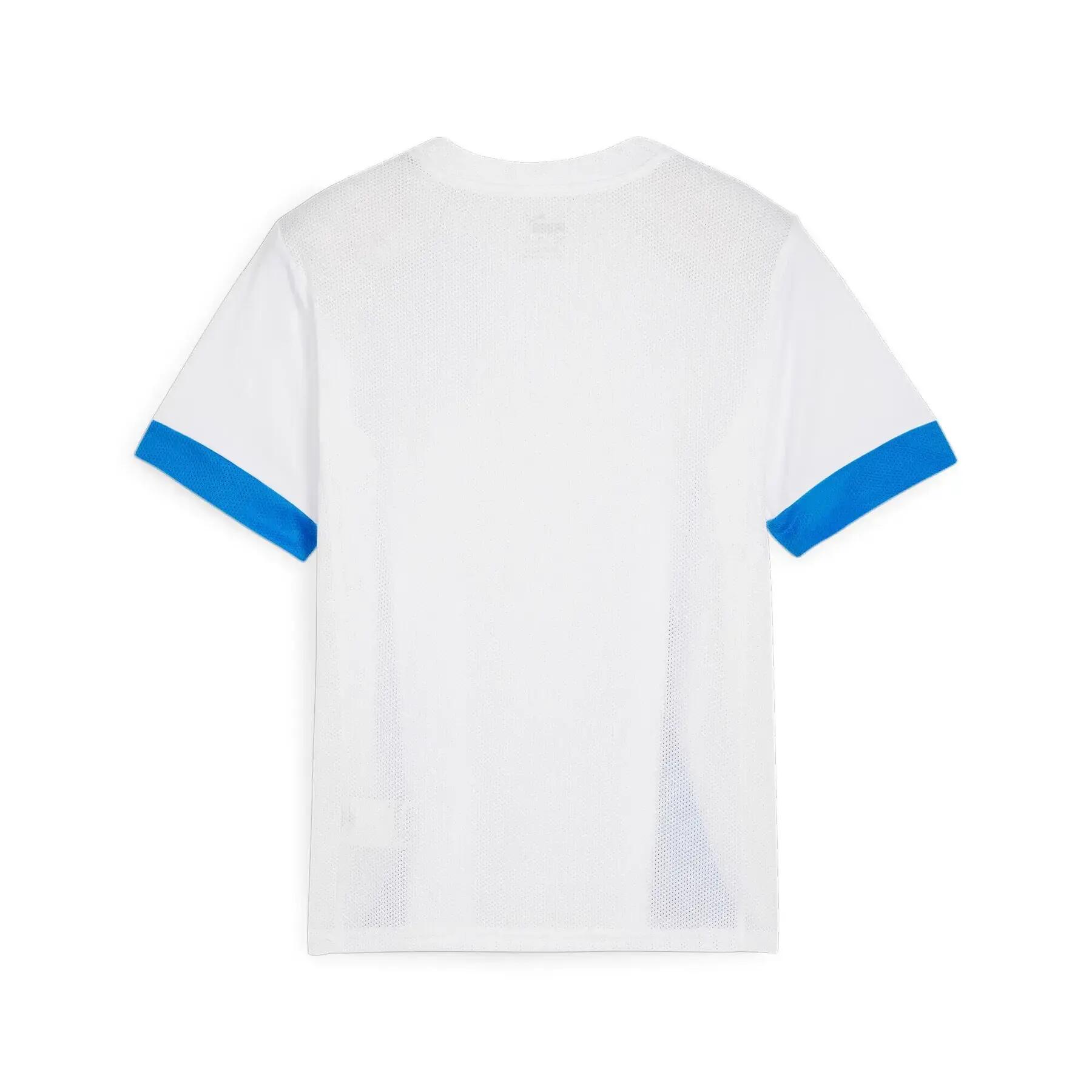 Kids' Training Jersey Puma TeamGoal 2/3