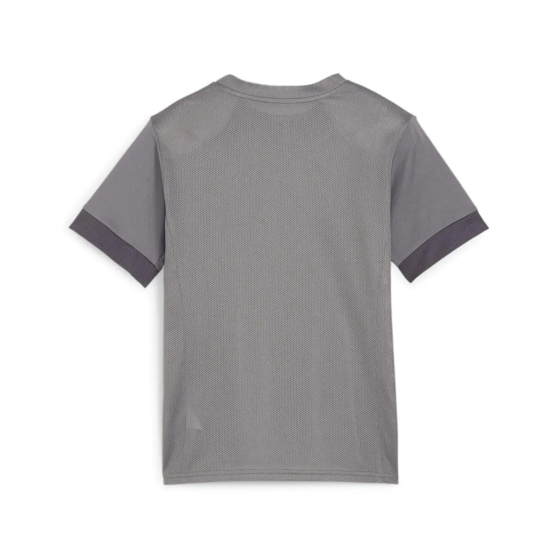 Kids' Training Jersey Puma TeamGoal 2/3
