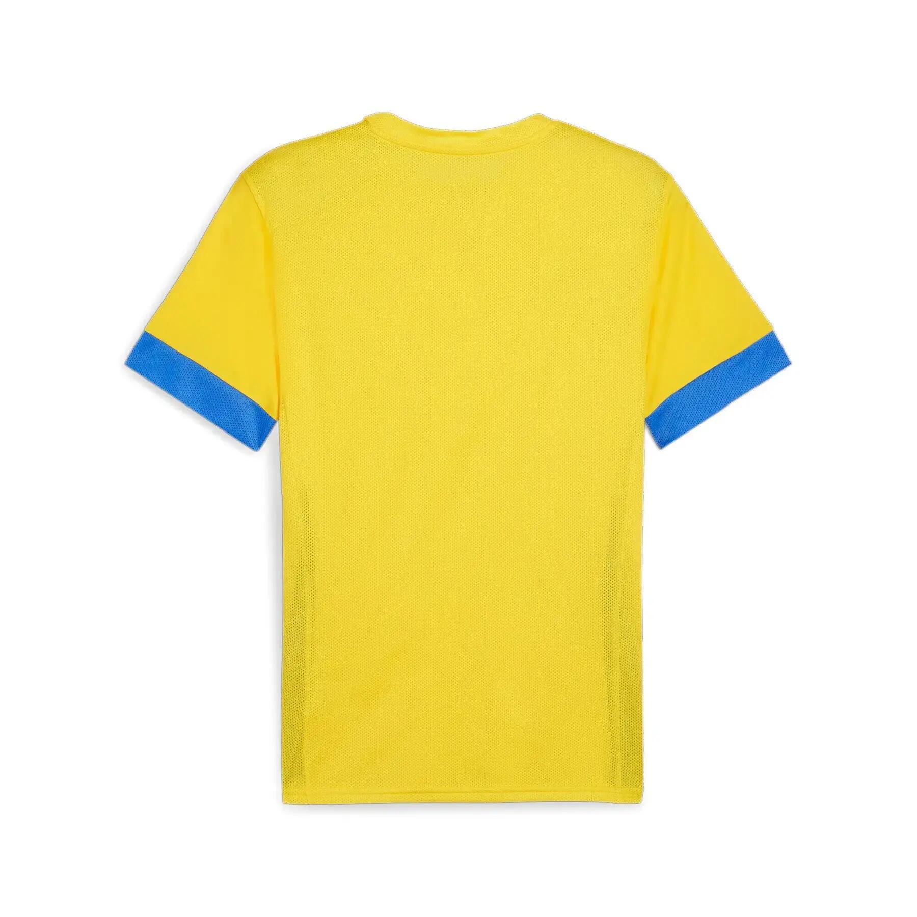 Jersey Puma TeamGoal 3/6