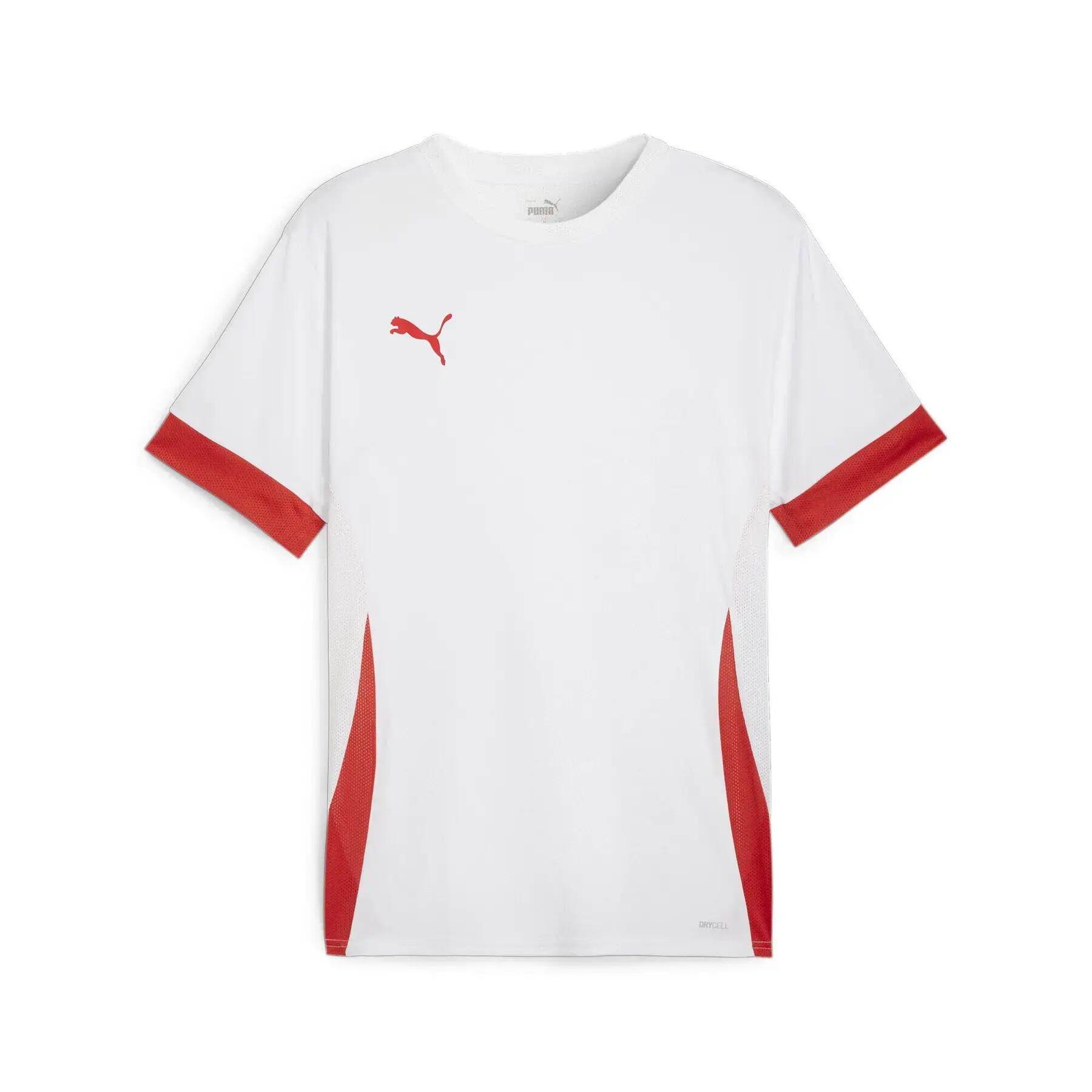 PUMA picture