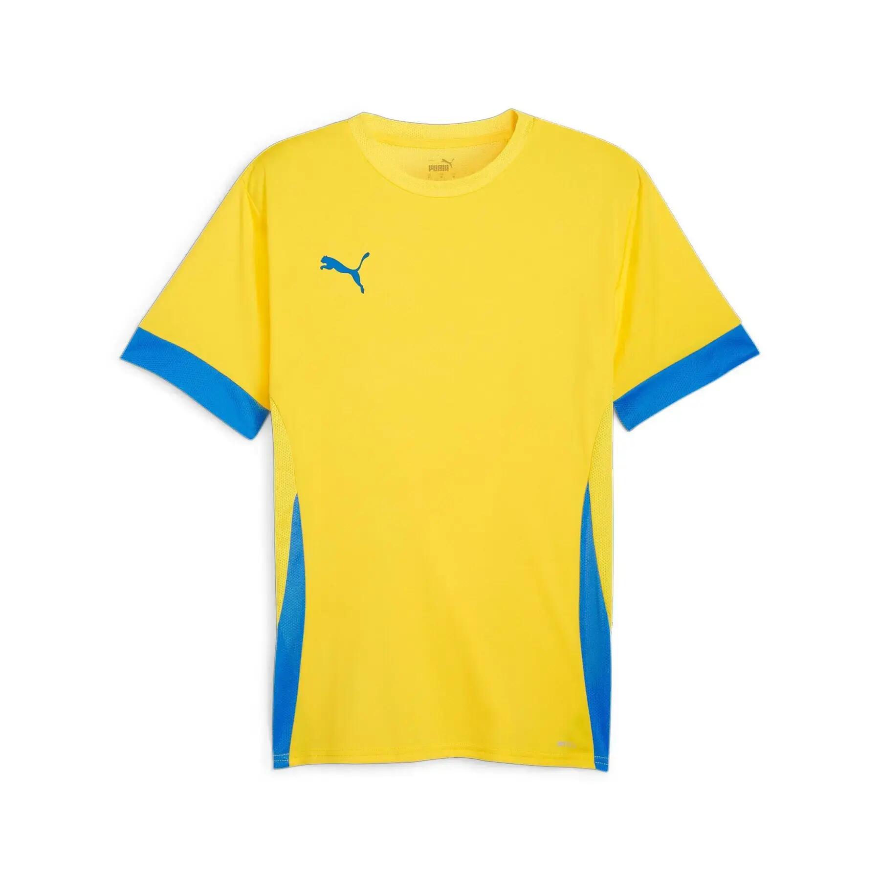 PUMA picture