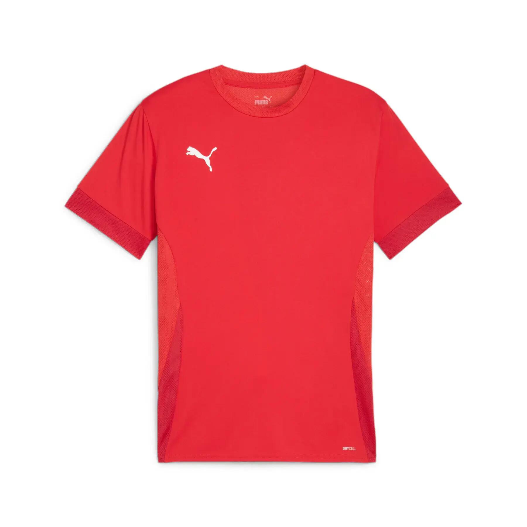 PUMA picture