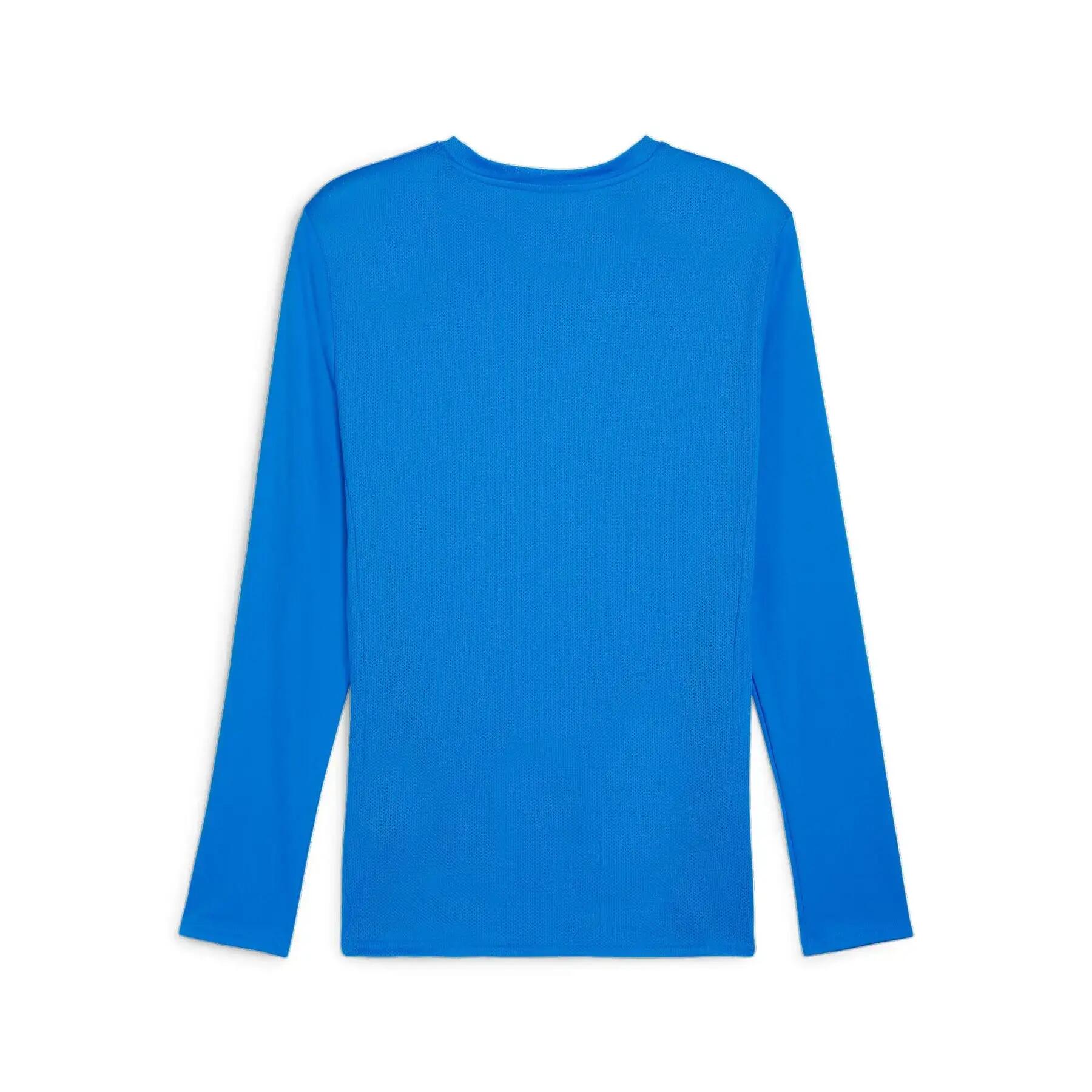 Maillot manches longues Puma TeamGoal 2/3