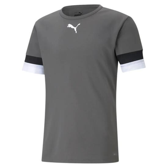 T-shirt PUMA teamRISE Jersey football slim gris