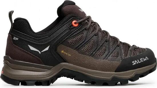 Salewa MTN Trainer Lite GTX Damen Wanderschuhe Braun