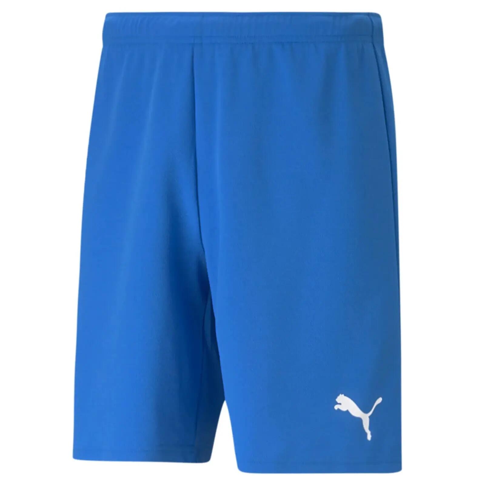 PUMA picture