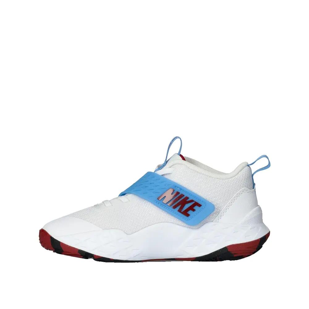 Chaussures de basket Nike Team Hustle D Multicolore 3/5