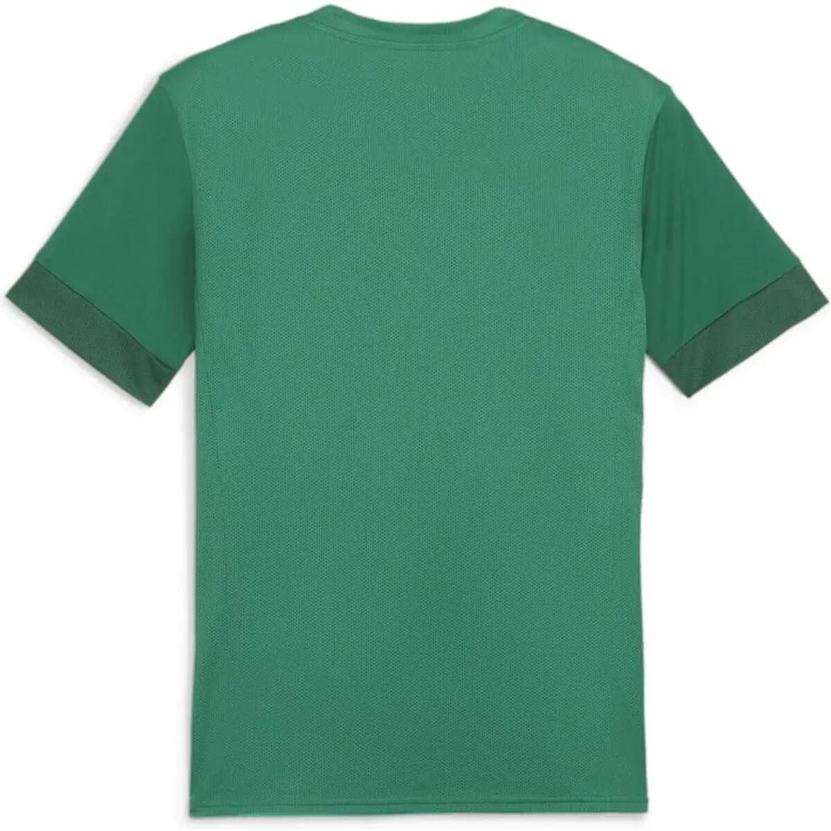 Puma Kinder Trikot teamGOAL Matchday Jersey jr 705748 2/3