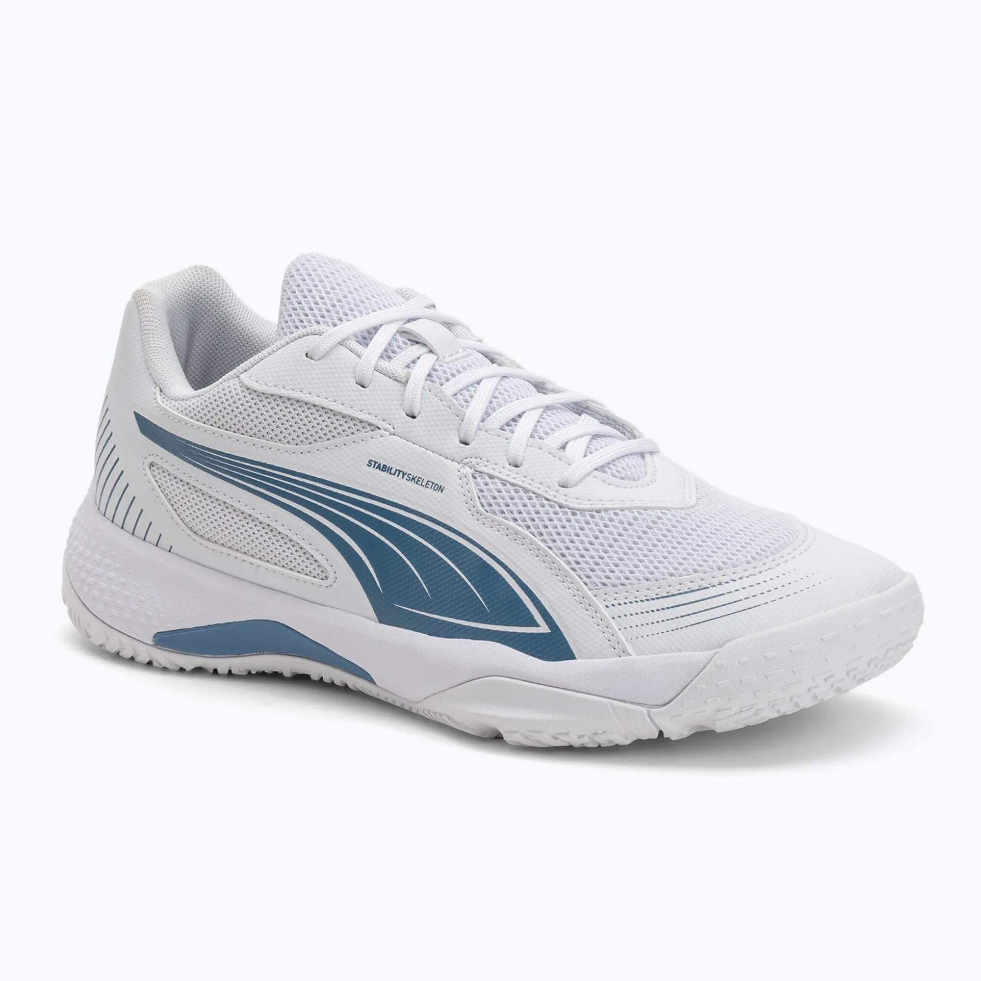 PUMA picture