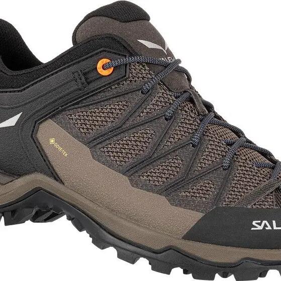 Salewa Mtn Trainer Lite GTX approach shoes Brown/Orange