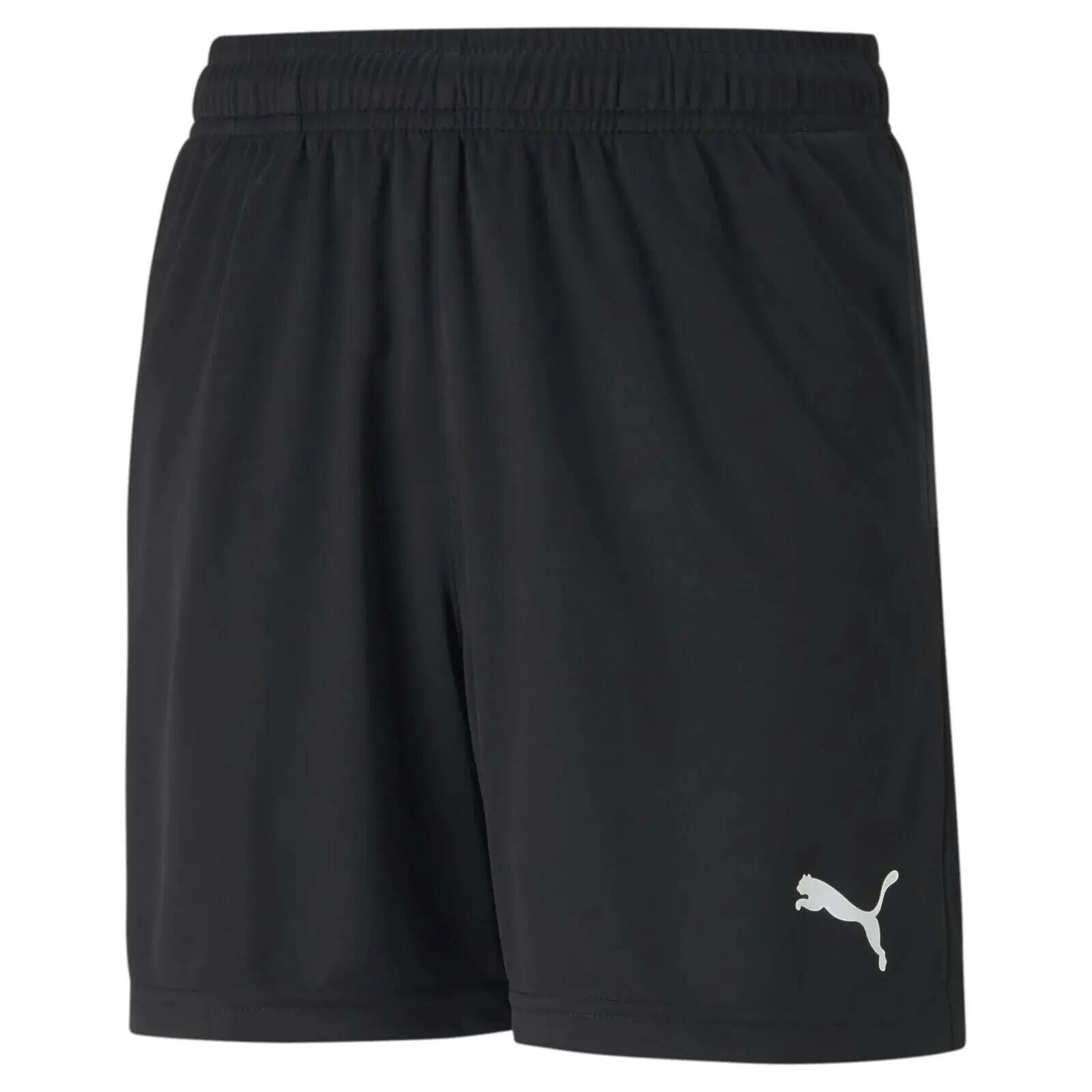 PUMA picture