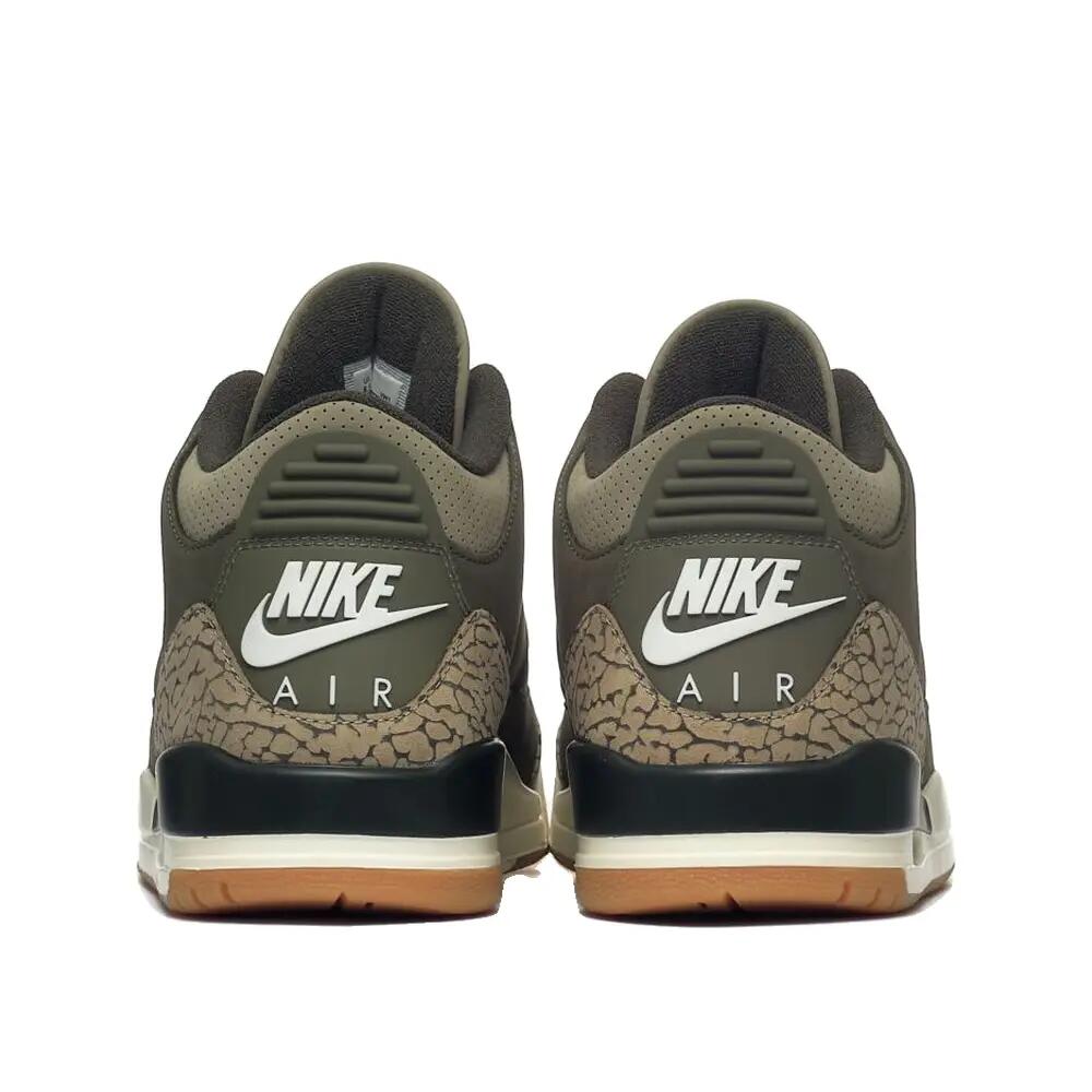 Air Jordan 3 Retro Family Affair 6/7