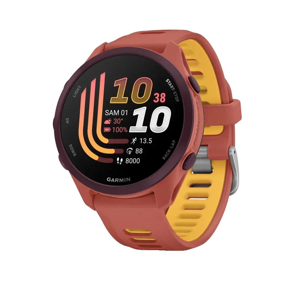 Montre GPS Garmin Forerunner 170 Musique Rouge/Orange 2/4