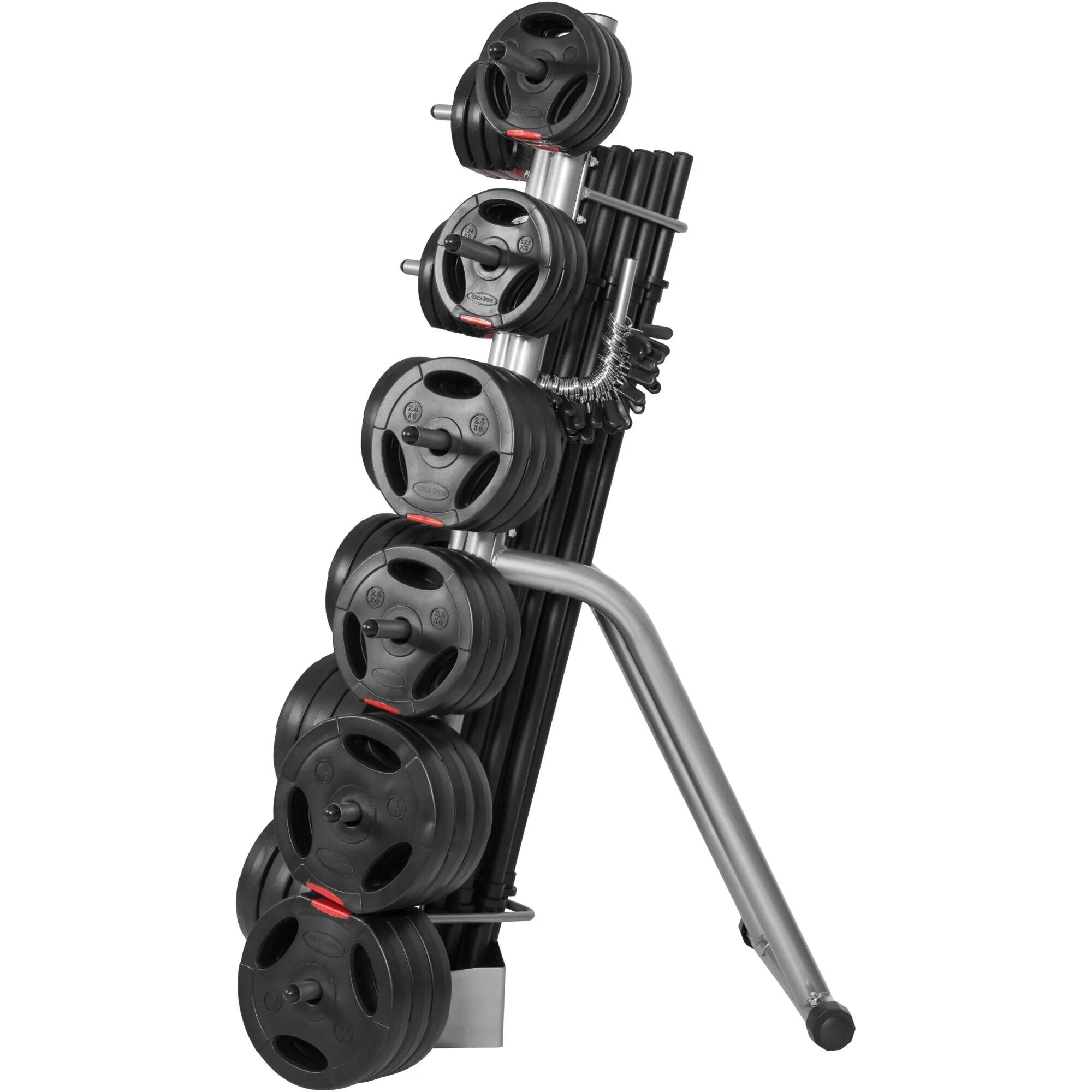 Hantelständer für Hantelstangen und Hantelscheiben 30 mm 8/9