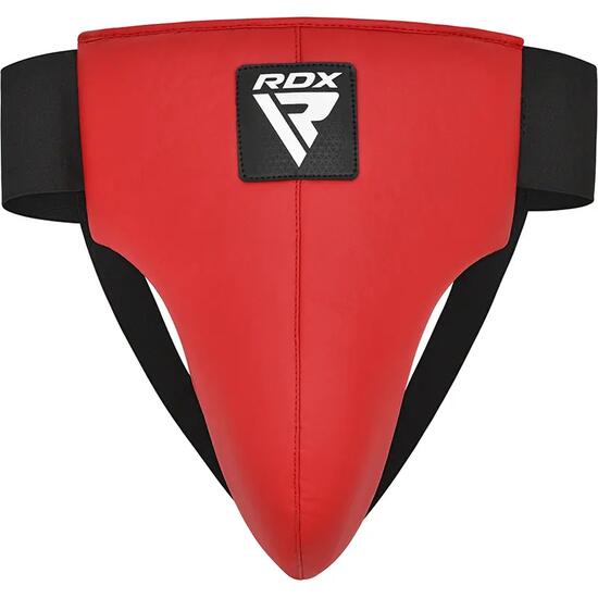 PROTECTION DE L'AINE REX MEN