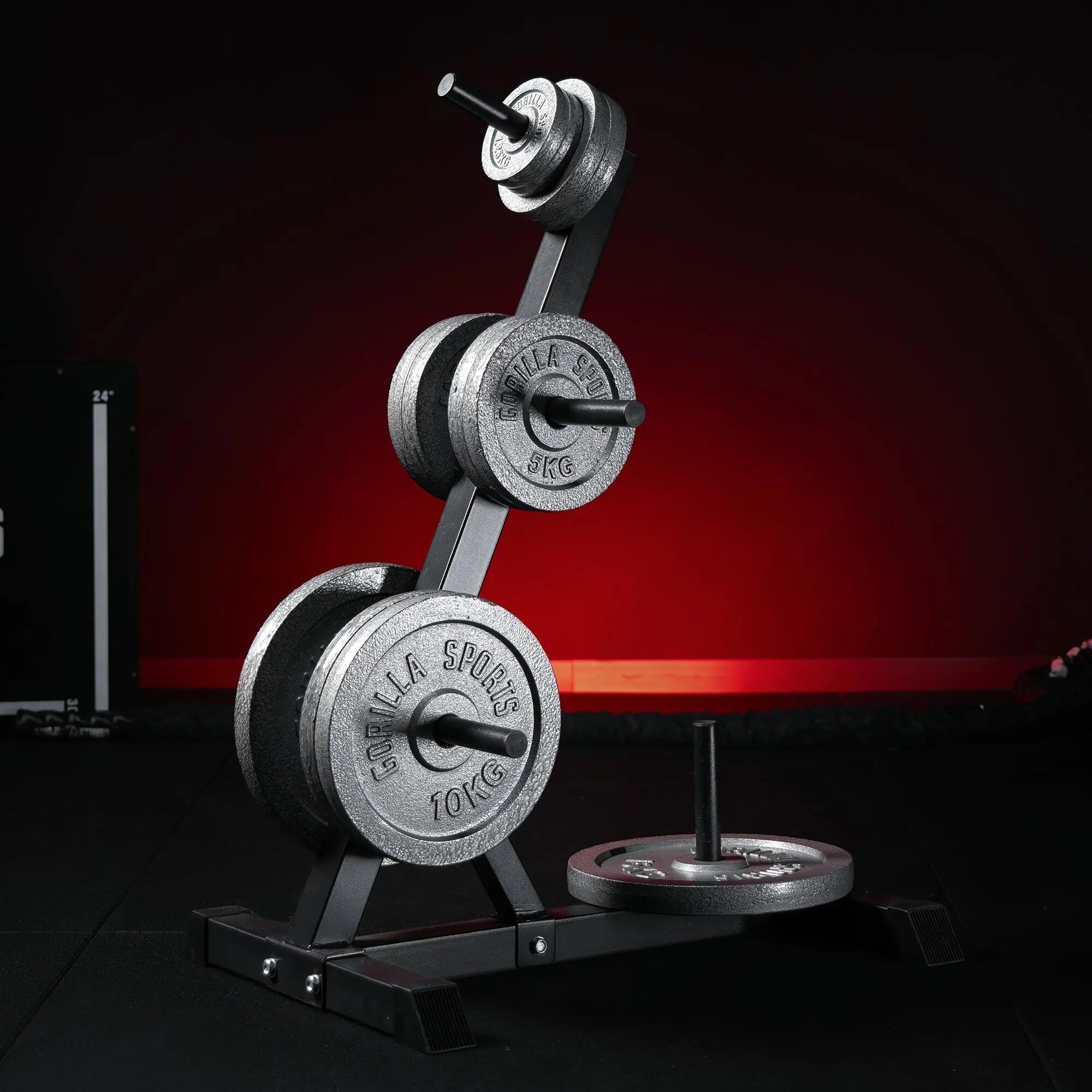 PACK RACK DE RANGEMENT ET POIDS EN FONTE | DIAMETRE 31 MM | MUSCULATION 3/9