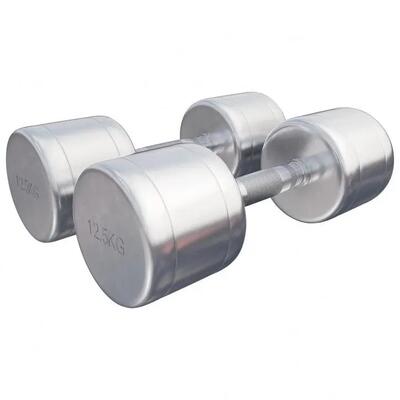 Dumbellset 25 kg - 2x12,5 kg - halterset - vaste dumbbells - chroom