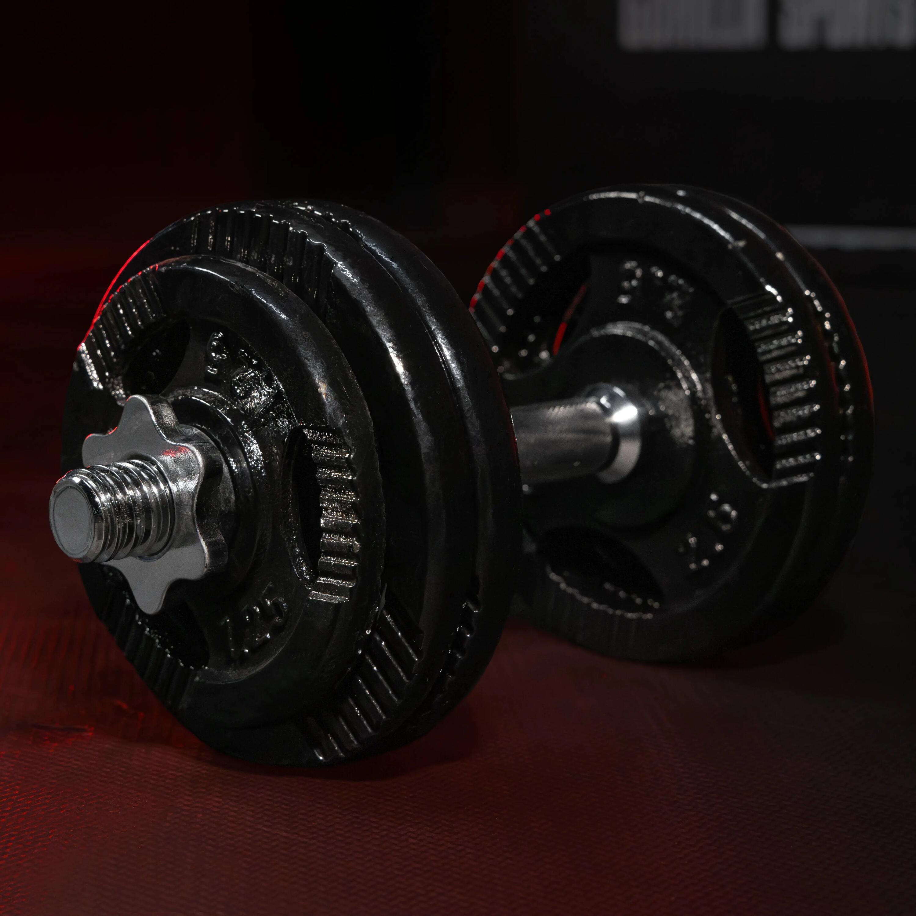 Dumbellset - Halterset - Gripper Gietijzer zwart - 30 kg 10/12