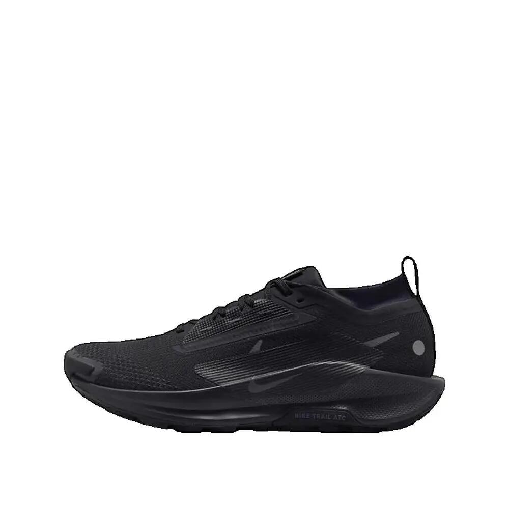 Chaussures de trail Nike Pegasus Trail 5 GTX Noire 2/3