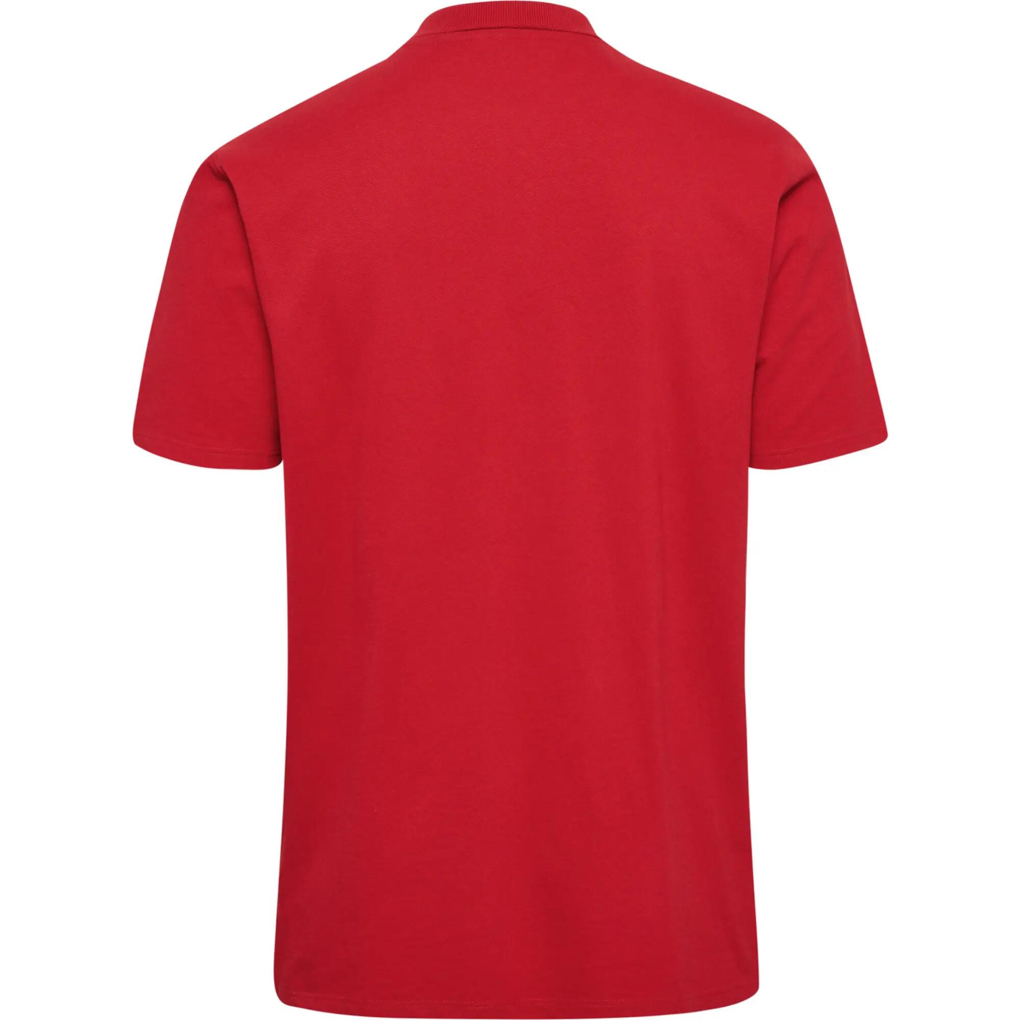 Koszulka sportowa polo męska Hummel hmlGO 2.0 POLO 10/10
