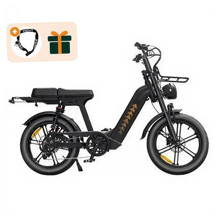 V20 Comfort Pro - Fatbike électrique - 20 pouces - 250W - 720Wh - Noir