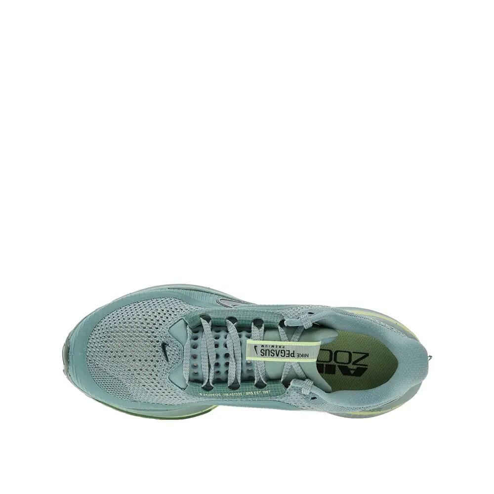 Chaussures de course Nike Pegasus Premium 3/6