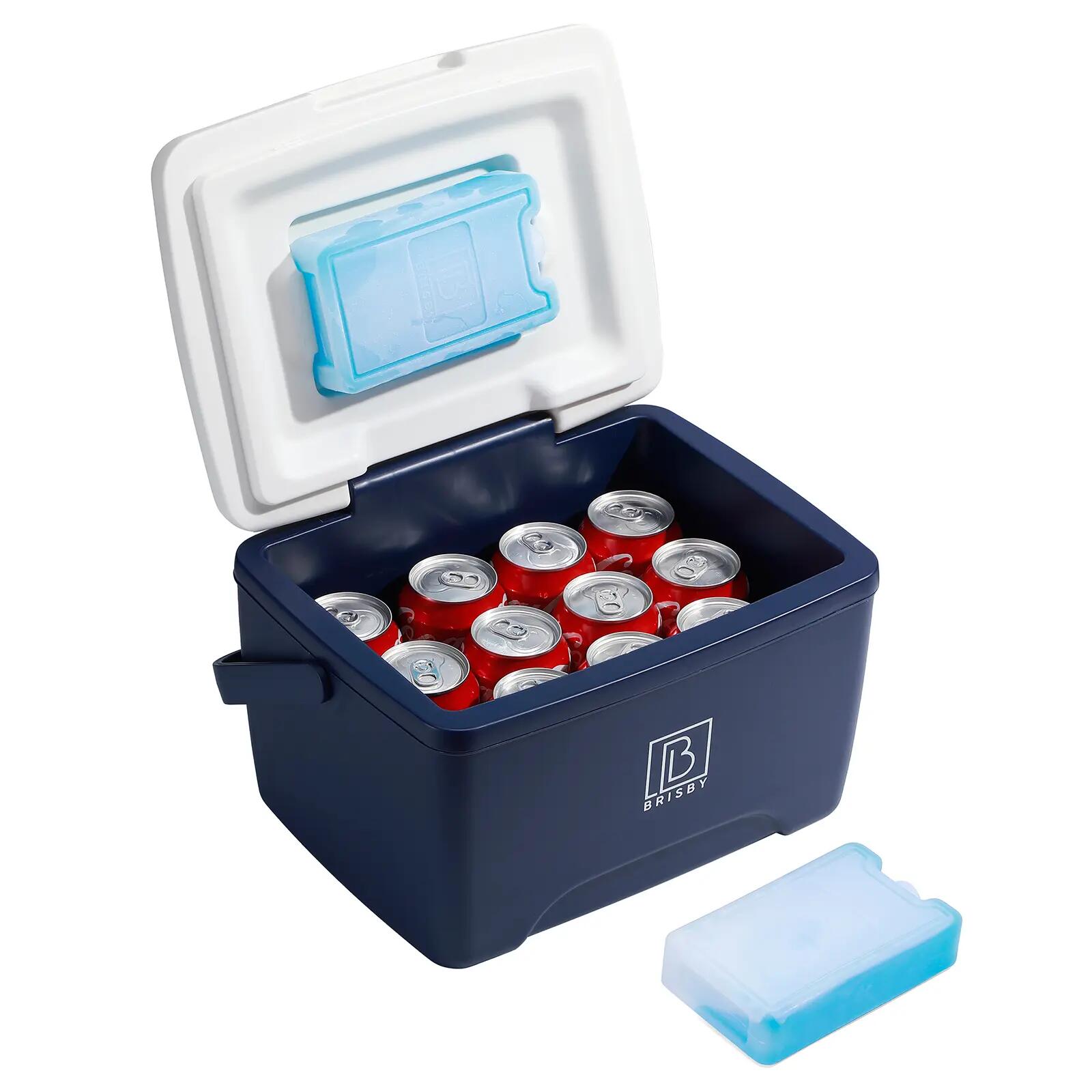Koelbox Kamperen Thermosset 8L Incl. 2 Koelelementen En Thermosfles Blauw 4/7