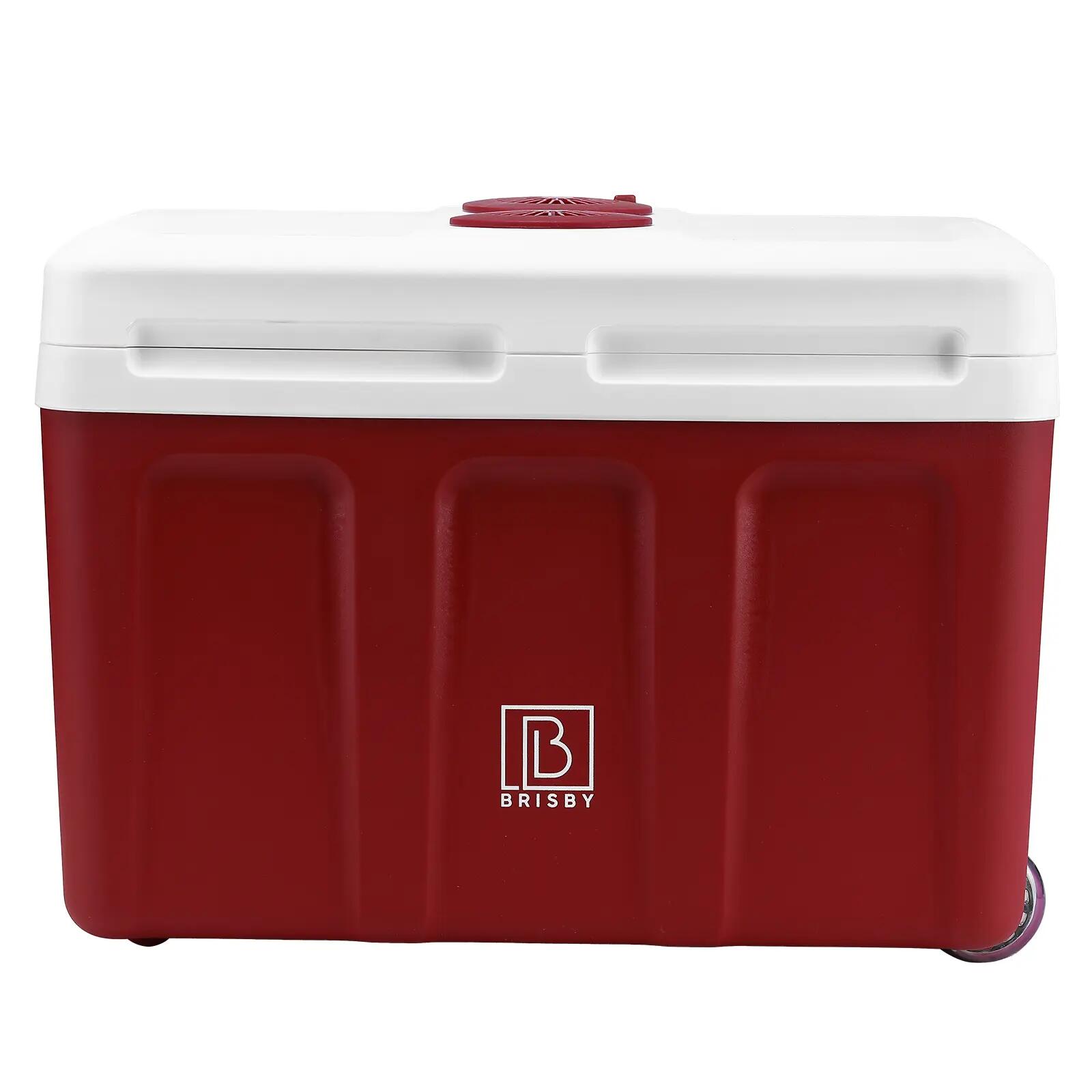 Koelbox Kamperen Elektrisch 40L 12V En 230V Koelen En Verwarmen Met Wielen Rood 2/7