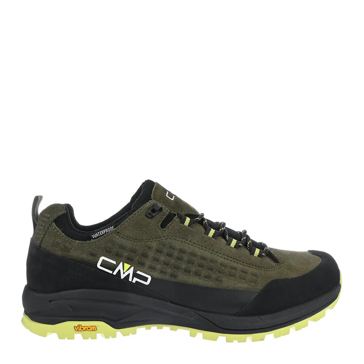 CMP picture