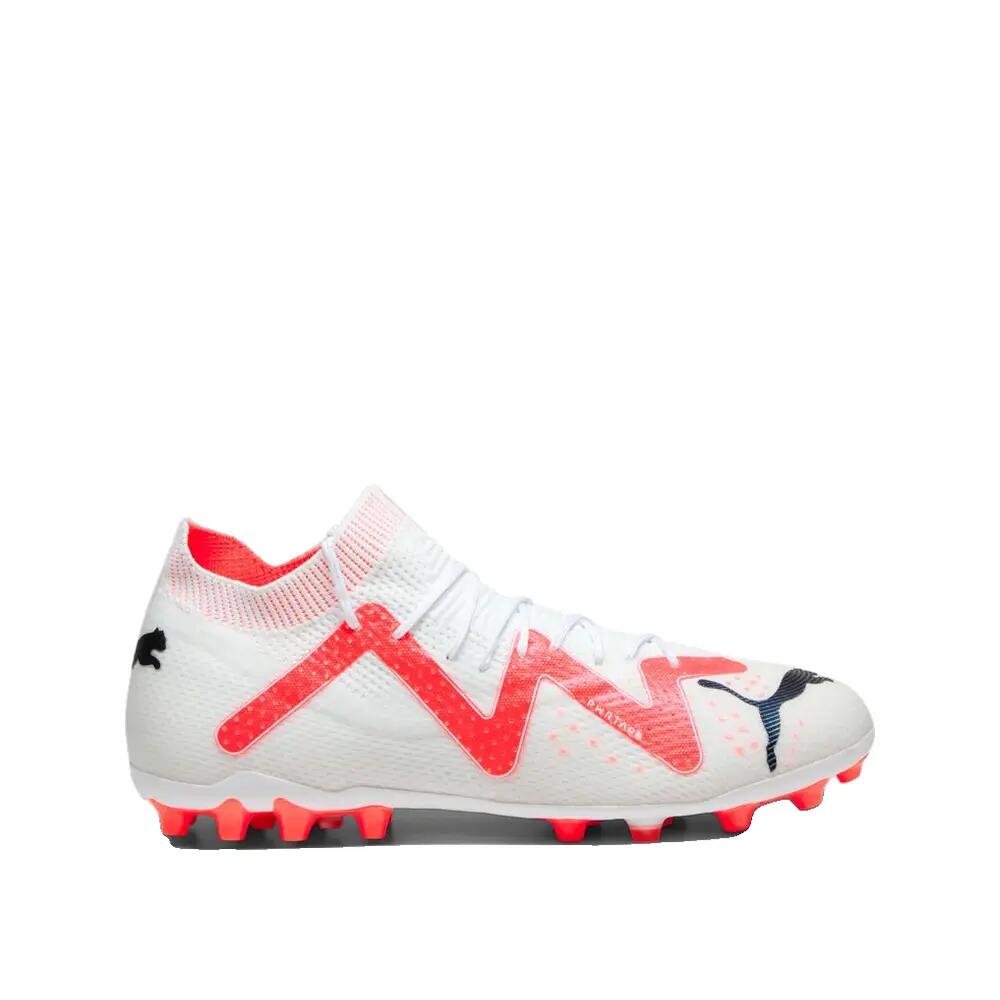 PUMA picture