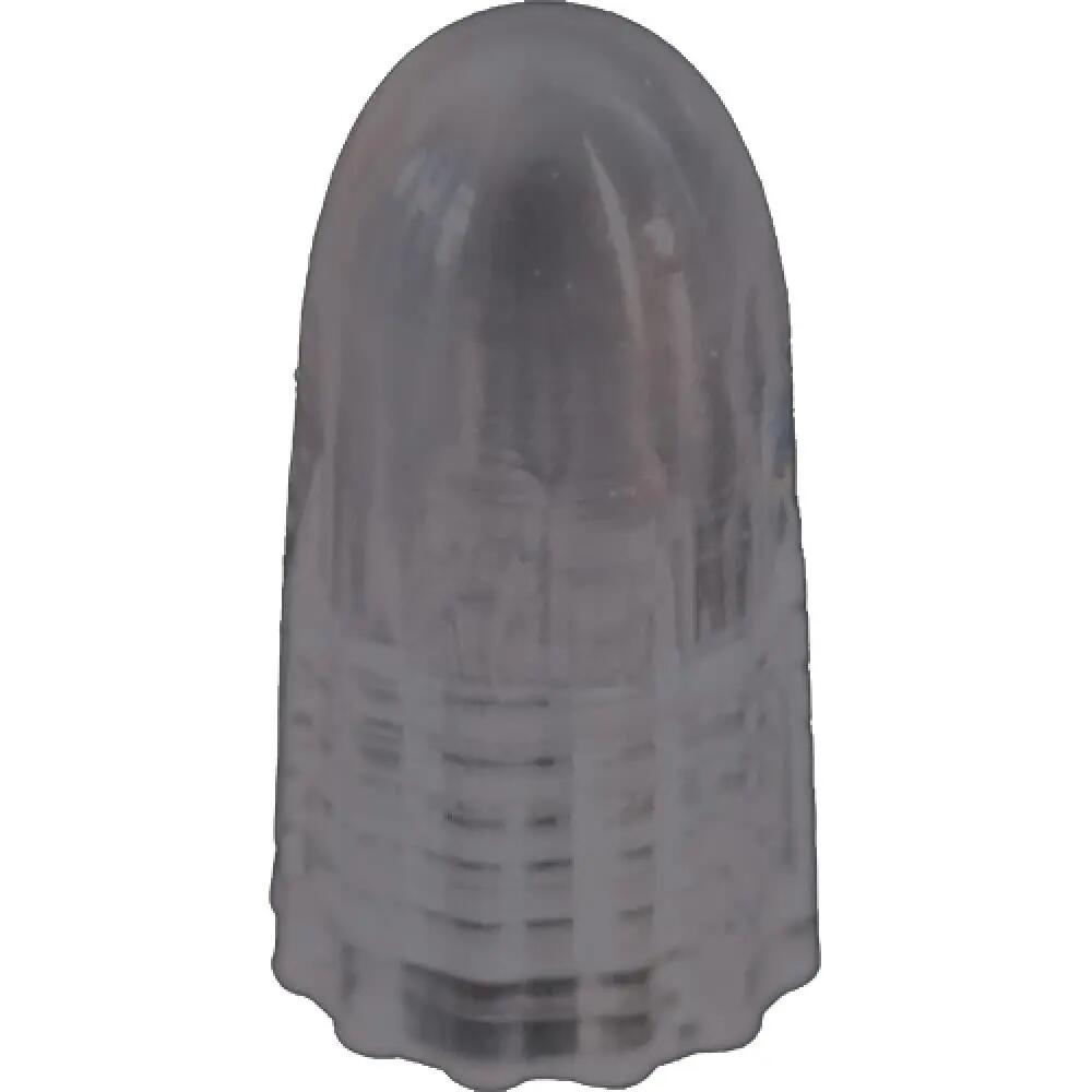 SCHWALBE picture