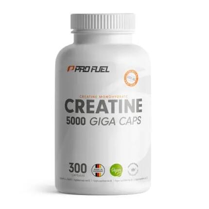 ProFuel Creatin-Monohydrat - 300 Kapseln