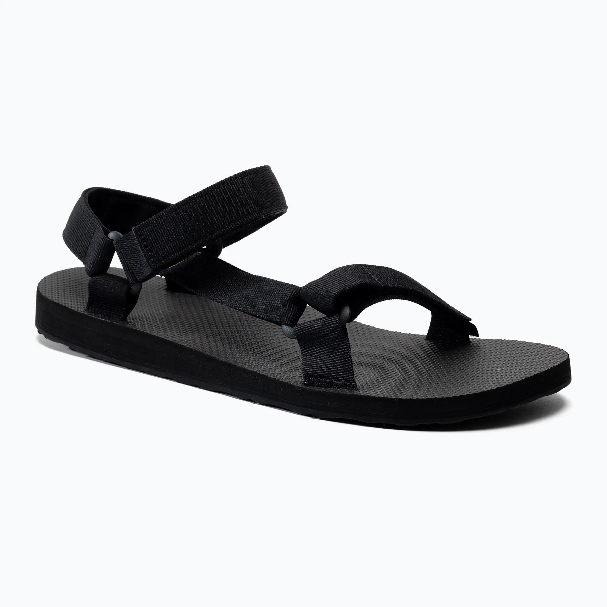 TEVA picture