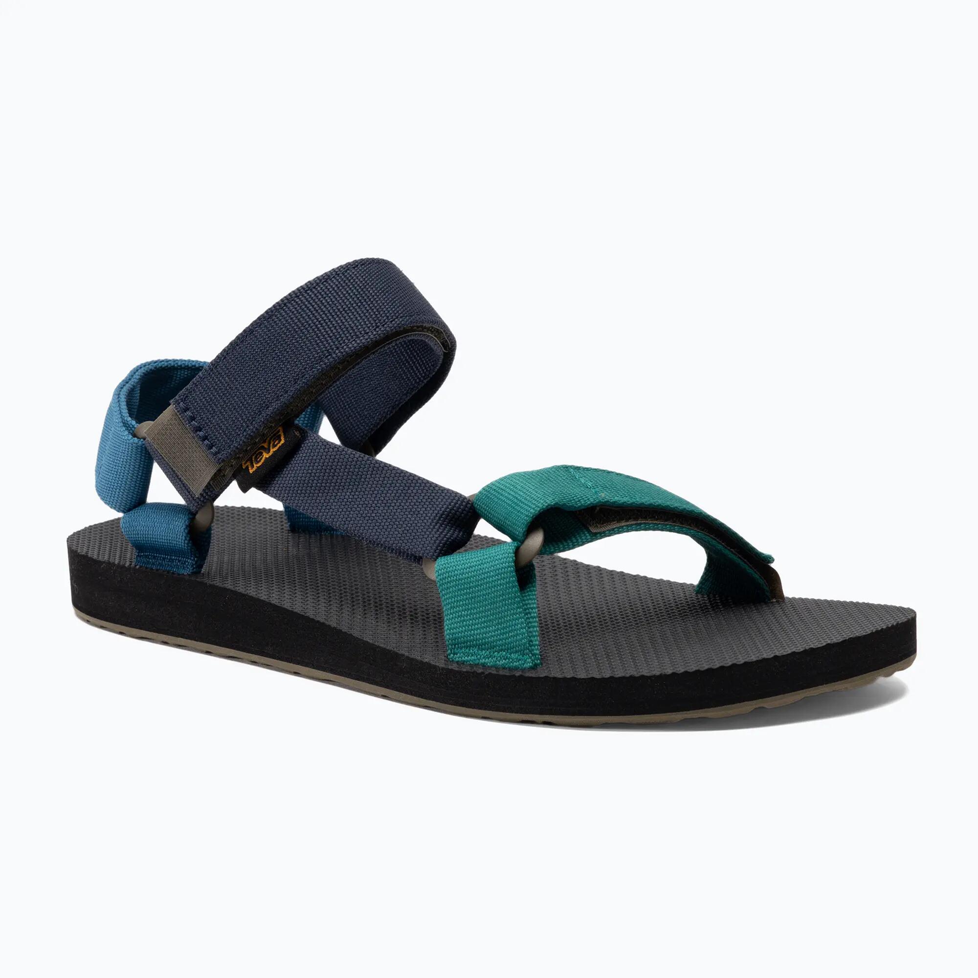 TEVA picture