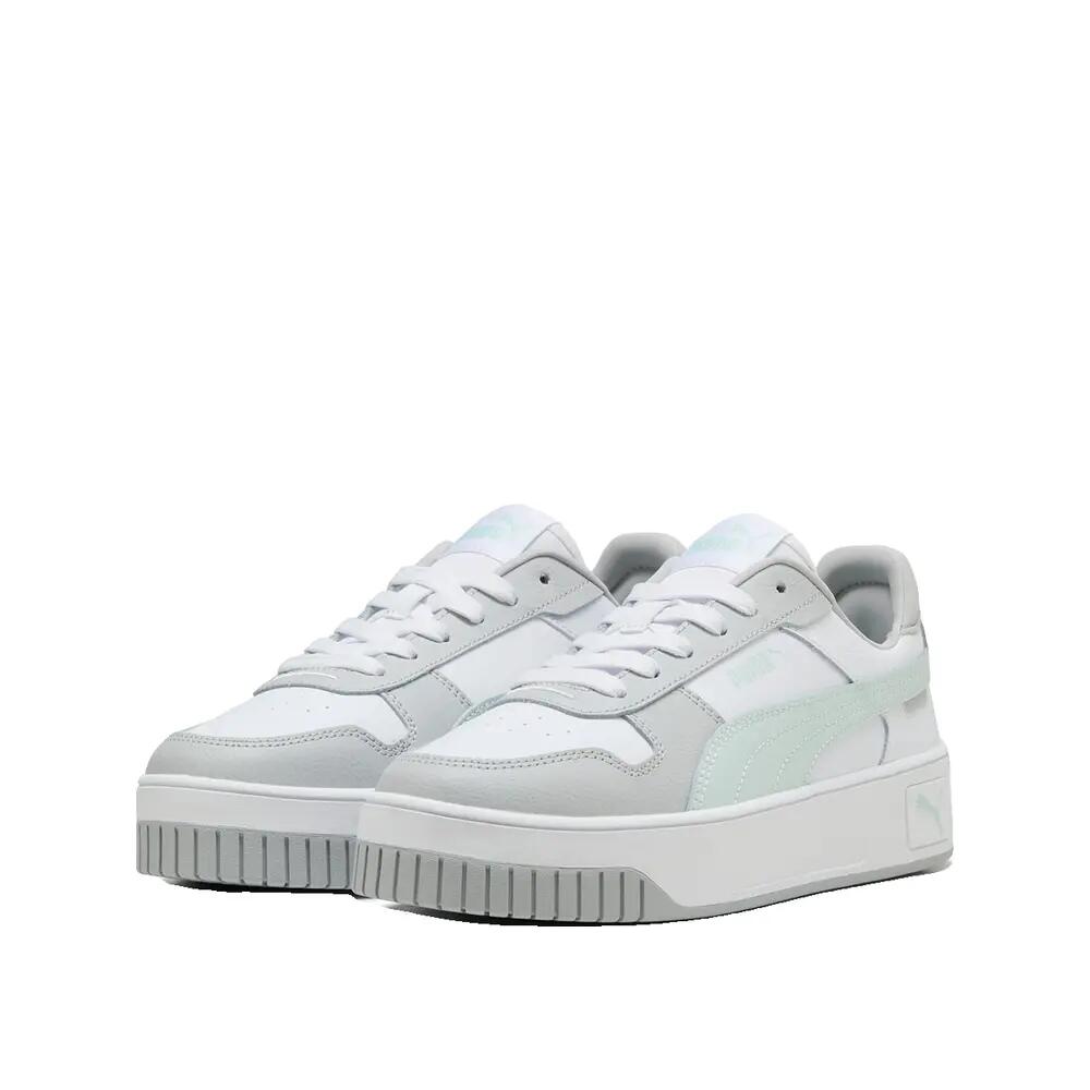 PUMA picture