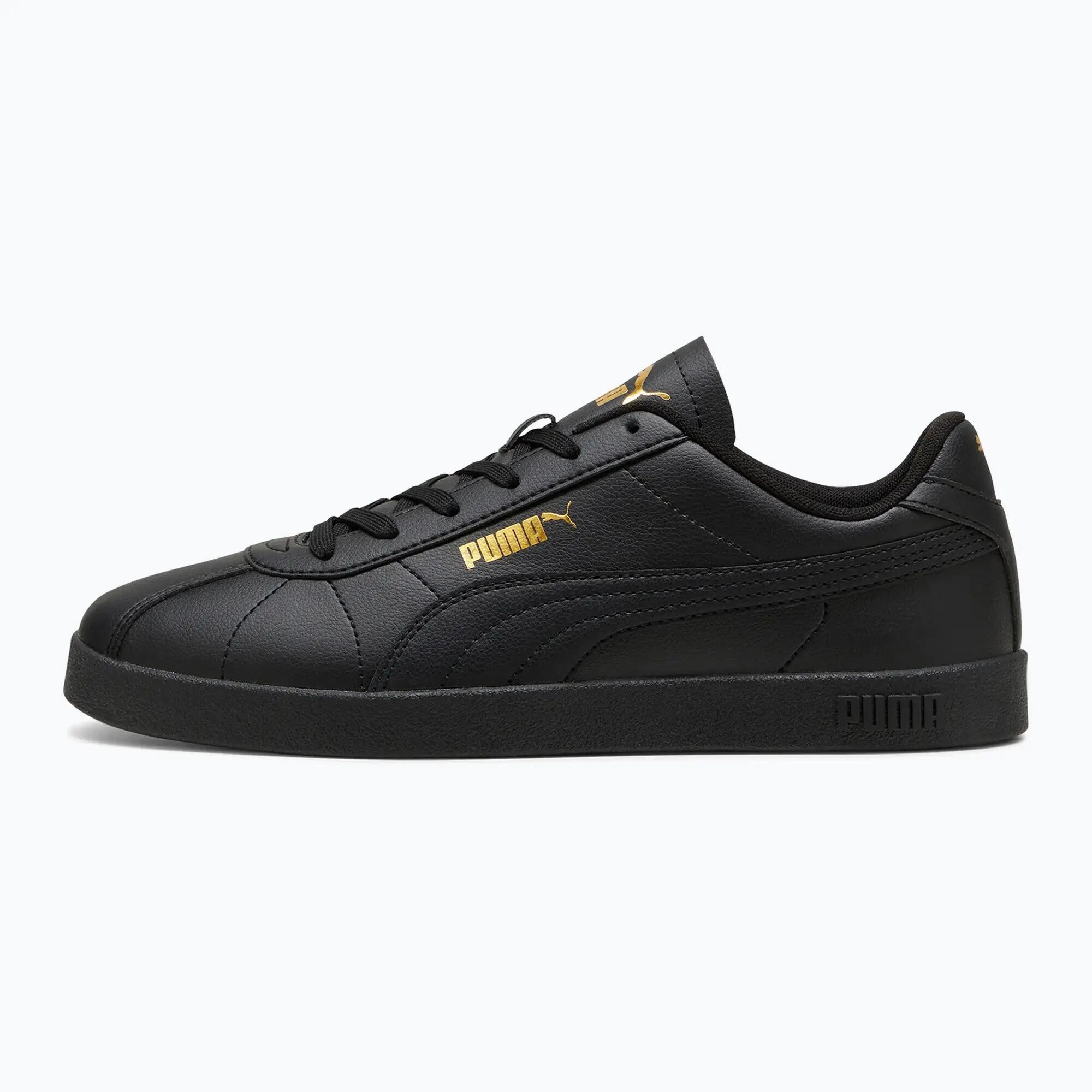 PUMA picture