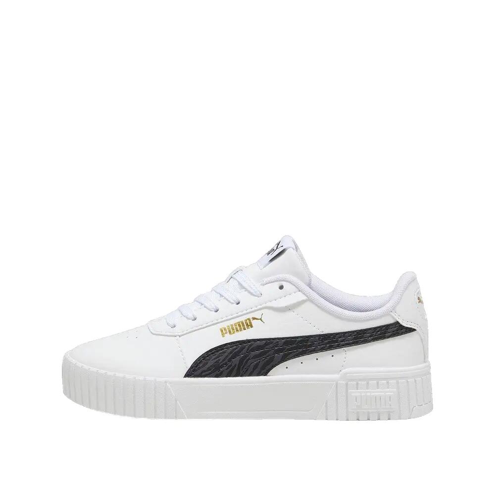 PUMA picture