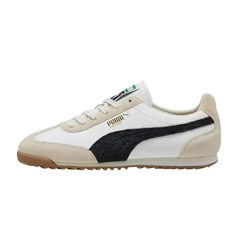 PUMA picture